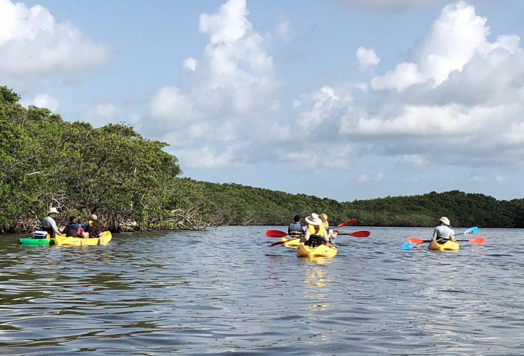 Guided Paddling | Biscayne National Park Institute