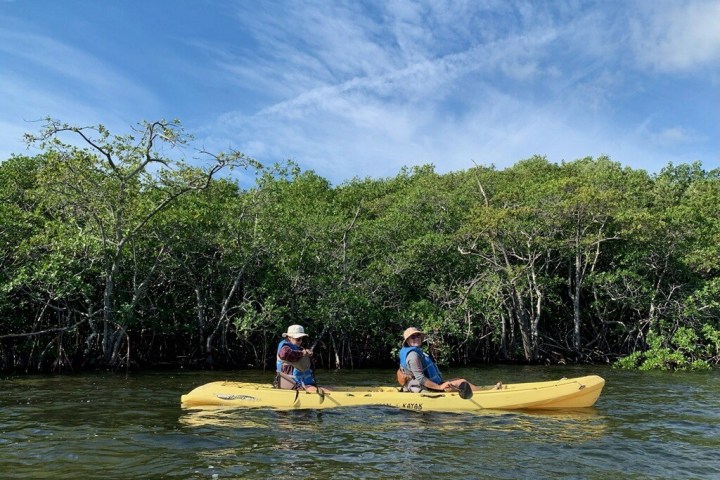 a group of people rowing a boat in the water